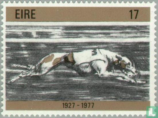 Greyhound Racing 50 years