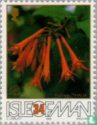 Fuchsia Society, 1938-1988