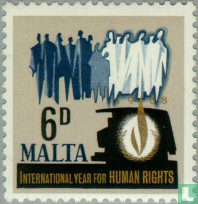 Internationaal jaar van de mensenrechten