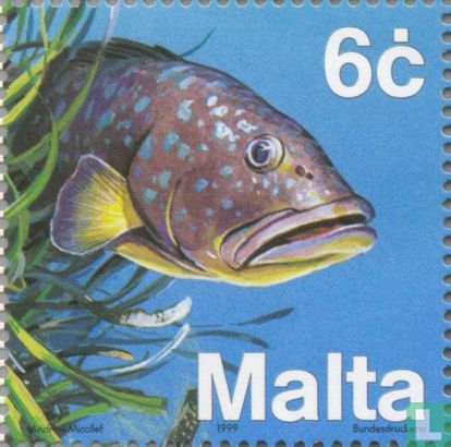 Fauna Mediterranean Sea
