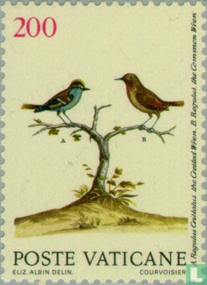 Vogeltekeningen van Eleazar Albin