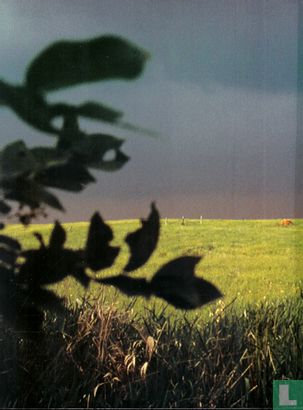 Going Home - Image 2