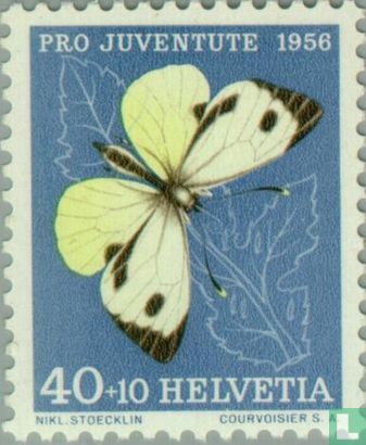 Butterflies and Insects