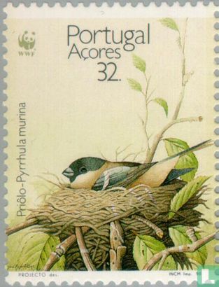 Bouvreuil des Açores-WWF 