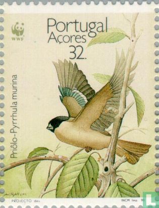 WWF-Azores Bullfinch 