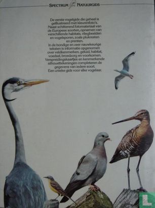 Vogels in West-Europa - Image 2