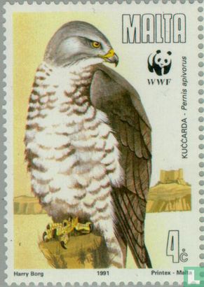 WWF - wandernde Raubvögel