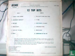 12 Top Hits - Afbeelding 2