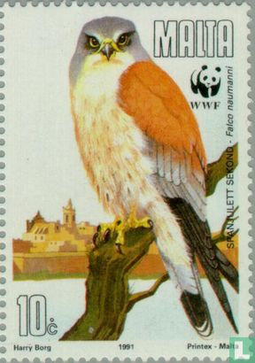 WWF - Trekkende Roofvogels
