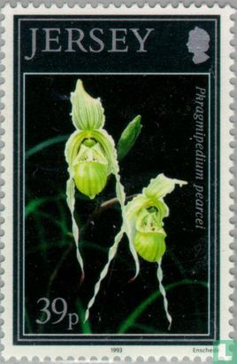 Orchidées nationales
