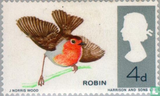 Britische Vögel