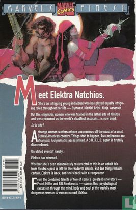 Elektra Assassin - Image 2
