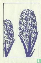 Kok Ede N.V. [Hyacinten] - Afbeelding 1