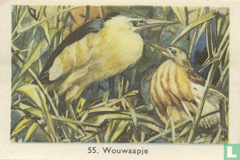 Wouwaapje - Afbeelding 1