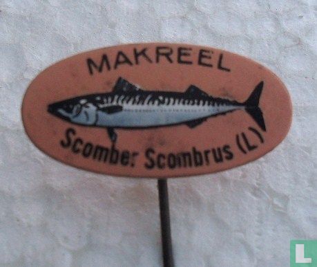 Makreel Scomber Scombrus (L)