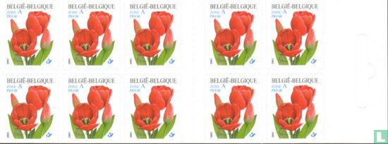 Red tulip - Image 1