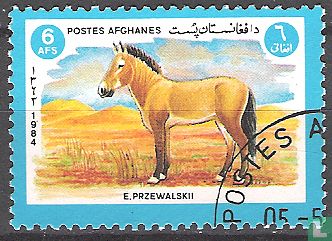 cheval de Przewalski