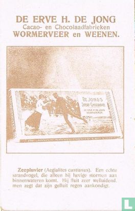 Zeepluvier - Bild 2
