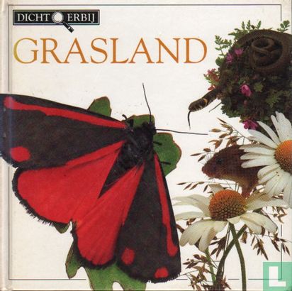 Grasland - Image 1
