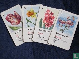 Bloemen Kwartet - Afbeelding 3