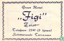 Groot Hotel "Figi"