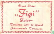 Groot Hotel "Figi"