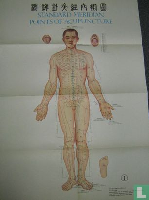 Standard meridian points of acupuncture - Image 1