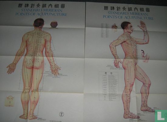 Standard meridian points of acupuncture - Afbeelding 2