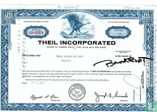 Theil Incorporated, Certificate for less than 100 shares, Common stock