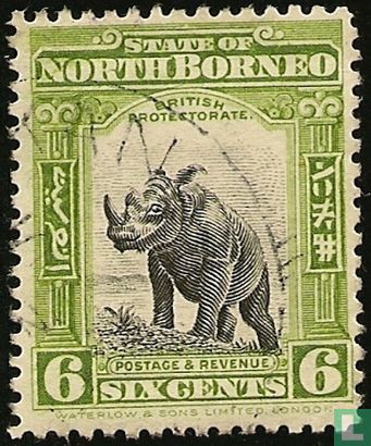 Rhinocéros de Sumatra