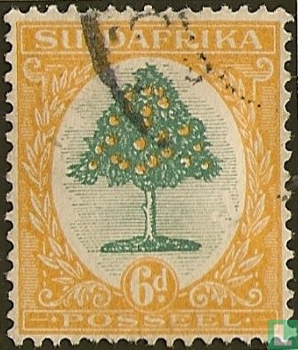 Orangenbaum (afrikanischen)