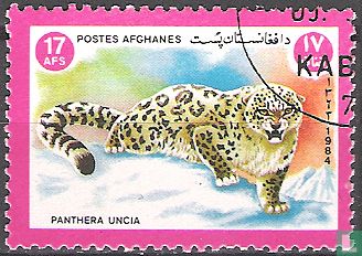 Panthera Uncia