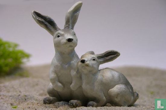 Kaninchenpaar weiß
