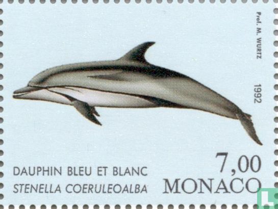 Dolfijnen