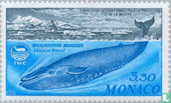 Internationale commissie bescherming walvissen