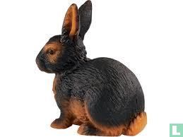 Kaninchen schwarz-braun