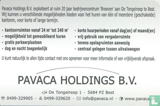 Pavaca Holdings - Afbeelding 2