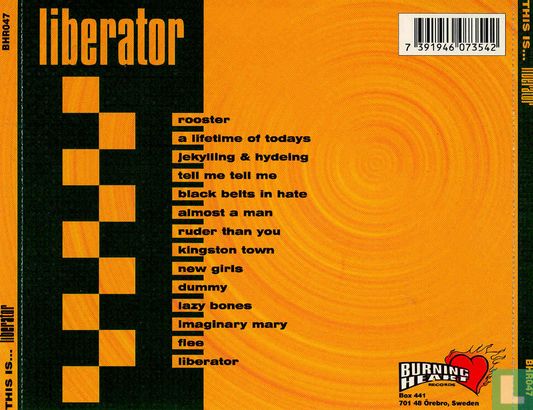 This is liberator - Image 2