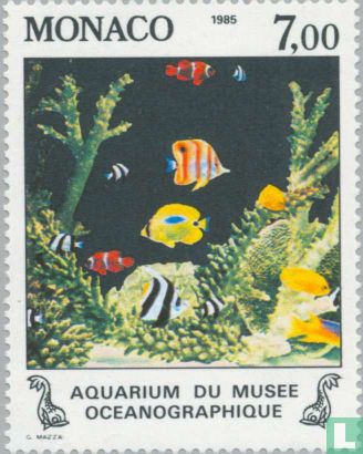 Fish from aquarium museum