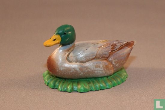 Mallard lying stained with grass - Image 1