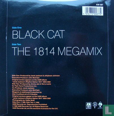 Black cat - Image 2