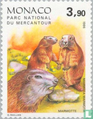 Mammals from the national park