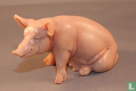Pig sow sitting - Image 1