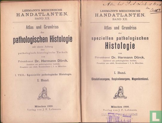 Atlas und Grundriss der Speziellen pathologischen Histologie - Bild 3