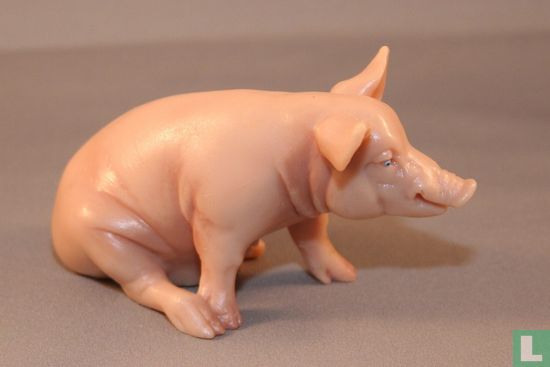 Pig sow sitting - Image 2