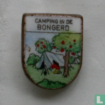 Camping in de Bongerd