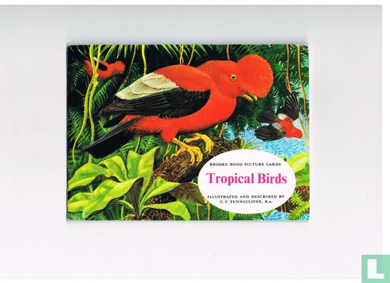 Tropical Birds - Image 1