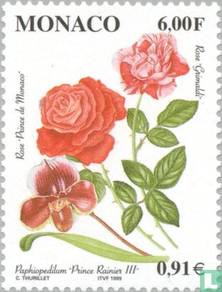 Flower Varieties