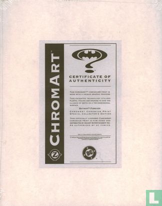 Batman Forever ChromArt - Afbeelding 2