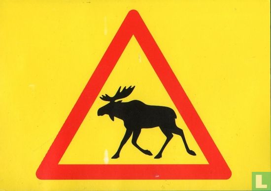 Hirvi - älg - Elch - elk